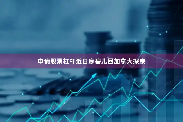 申请股票杠杆近日廖碧儿回加拿大探亲