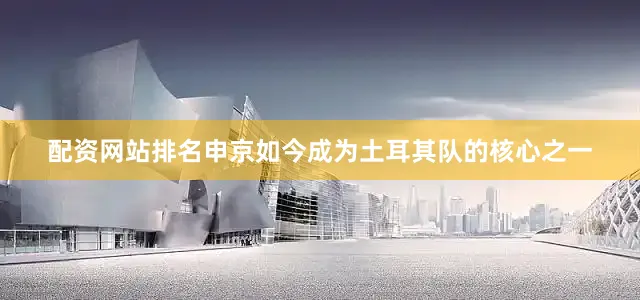 配资网站排名申京如今成为土耳其队的核心之一