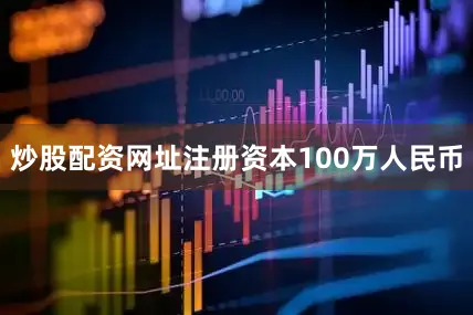 炒股配资网址注册资本100万人民币