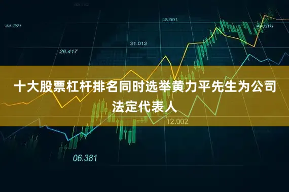 十大股票杠杆排名同时选举黄力平先生为公司法定代表人